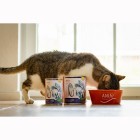 Cat Wet pet food Fisch à la Mode 810g 6 Piece -3- Anifit